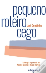 Capa do artigo Pequeno Roteiro Cego