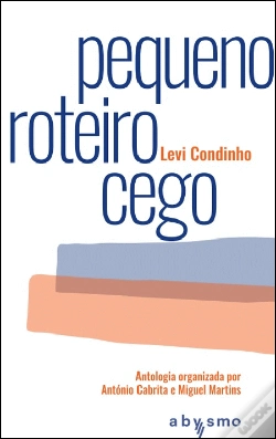 Capa do artigo Pequeno Roteiro Cego
