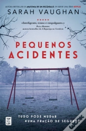 Capa do artigo Pequenos Acidentes