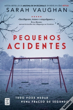 Capa do artigo Pequenos Acidentes
