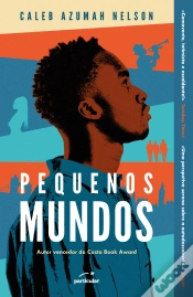 Capa do artigo Pequenos Mundos