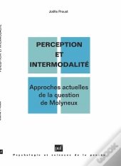 Perception Et Intermodalité