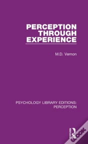 Capa do artigo Perception Through Experience