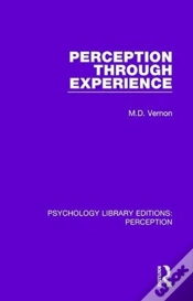 Capa do artigo Perception Through Experience
