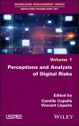 Perceptions And Analysis Of Digital Risks - Preview