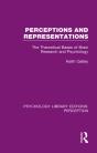 Perceptions And Representations - Preview