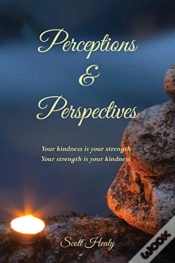 Capa do artigo Perceptions & Perspectives