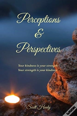 Capa do artigo Perceptions & Perspectives