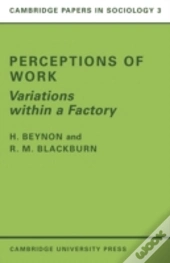 Perceptions Of Work
