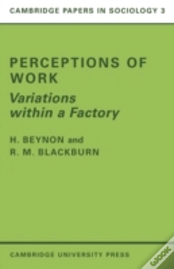 Capa do artigo Perceptions Of Work