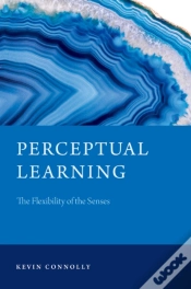 Capa do artigo Perceptual Learning