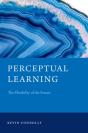 Perceptual Learning - Preview