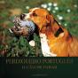 Perdigueiro Português - Preview