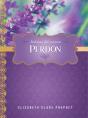 Perdón - Preview