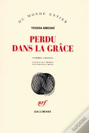 Capa do artigo Perdu Dans La Grace (Poemes Choisis)