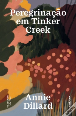 Capa do artigo Peregrinação em Tinker Creek