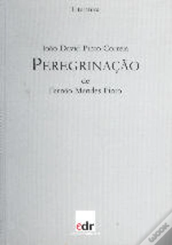 Capa do artigo Peregrinação