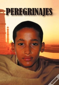 Capa do artigo Peregrinajes