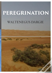 Capa do artigo Peregrination