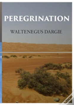 Capa do artigo Peregrination