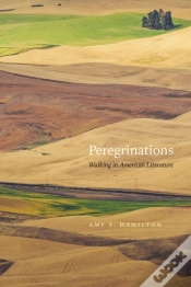 Capa do artigo Peregrinations