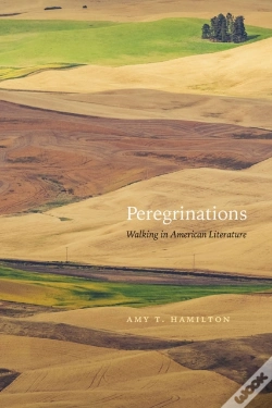 Capa do artigo Peregrinations