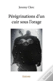 Capa do artigo Peregrinations D