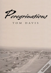 Capa do artigo Peregrinations
