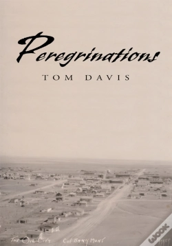 Capa do artigo Peregrinations