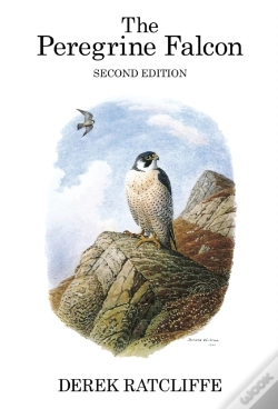 Capa do artigo Peregrine Falcon