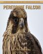 Peregrine Falcon - Preview