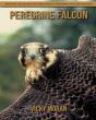 Peregrine Falcon - Preview