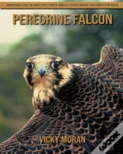 Capa do artigo Peregrine Falcon