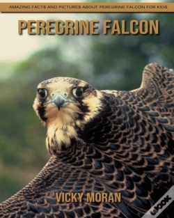 Capa do artigo Peregrine Falcon