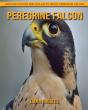 Peregrine Falcon - Preview