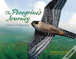 Capa do artigo Peregrine'S Journey