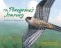 Peregrine'S Journey - Preview