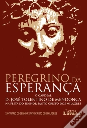 Capa do artigo Peregrino da Esperança