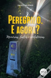 Capa do artigo Peregrino. E Agora?