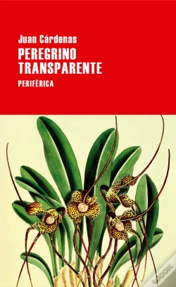 Capa do artigo Peregrino Transparente