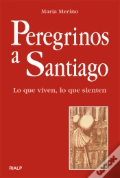 Capa do artigo Peregrinos A Santiago. Lo Que Viven, Lo Que Sienten