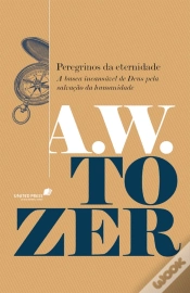 Capa do artigo Peregrinos Da Eternidade