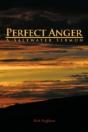Perfect Anger - Preview
