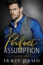 Perfect Assumption - Preview