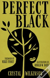 Capa do artigo Perfect Black