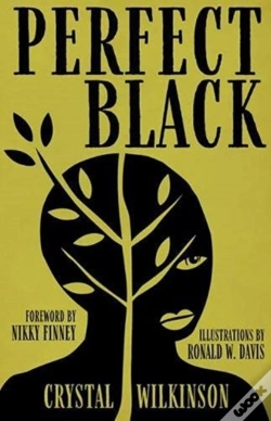 Capa do artigo Perfect Black