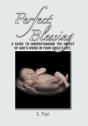 Perfect Blessing - Preview