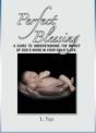 Perfect Blessing - Preview
