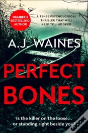 Capa do artigo Perfect Bones