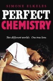 Capa do artigo Perfect Chemistry